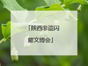 陕西非遗闪耀文博会