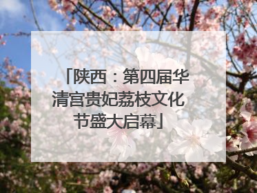 陕西：第四届华清宫贵妃荔枝文化节盛大启幕