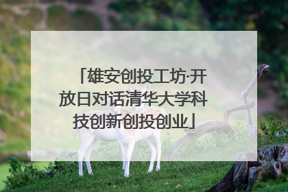 雄安创投工坊·开放日对话清华大学科技创新创投创业