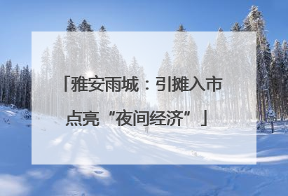 雅安雨城：引摊入市 点亮“夜间经济”