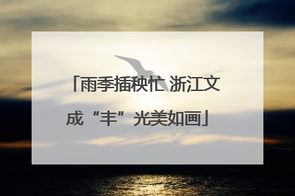 雨季插秧忙 浙江文成“丰”光美如画