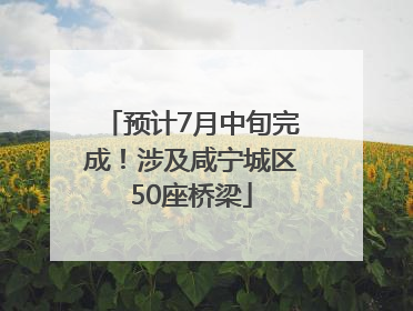 预计7月中旬完成！涉及咸宁城区50座桥梁
