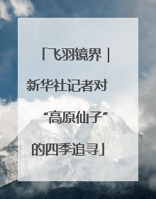 飞羽镜界｜新华社记者对“高原仙子”的四季追寻