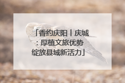 香约庆阳丨庆城：厚植文旅优势 绽放县域新活力