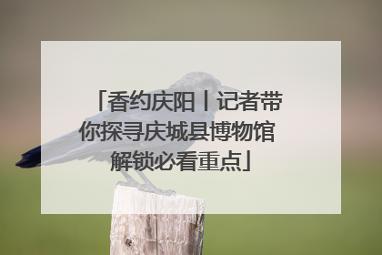 香约庆阳丨记者带你探寻庆城县博物馆 解锁必看重点