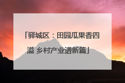 驿城区：田园瓜果香四溢 乡村产业谱新篇