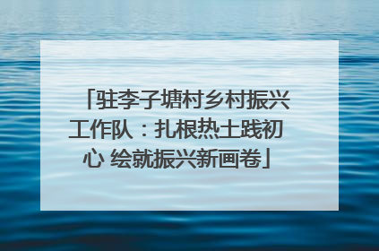 驻李子塘村乡村振兴工作队：扎根热土践初心 绘就振兴新画卷