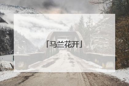 马兰花开