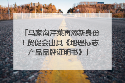马家沟芹菜再添新身份！贸促会出具《地理标志产品品牌证明书》