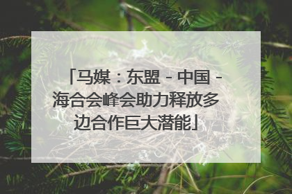 马媒：东盟－中国－海合会峰会助力释放多边合作巨大潜能
