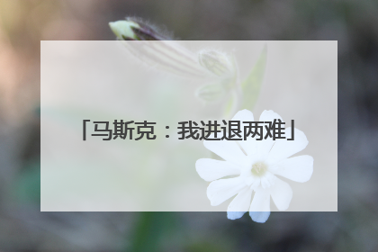 马斯克：我进退两难