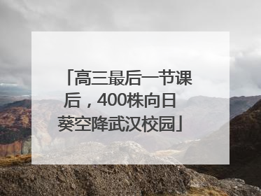 高三最后一节课后，400株向日葵空降武汉校园