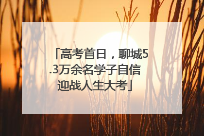 高考首日，聊城5.3万余名学子自信迎战人生大考