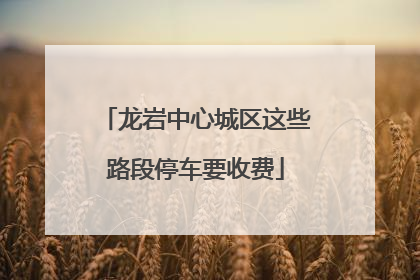 龙岩中心城区这些路段停车要收费