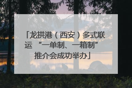 龙拱港（西安）多式联运 “一单制、一箱制” 推介会成功举办