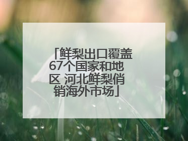 鲜梨出口覆盖67个国家和地区 河北鲜梨俏销海外市场