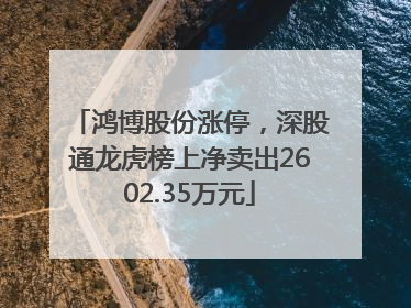 鸿博股份涨停，深股通龙虎榜上净卖出2602.35万元