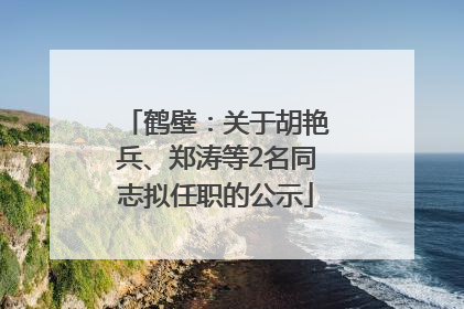 鹤壁：关于胡艳兵、郑涛等2名同志拟任职的公示