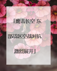 鹰击长空 东部战区空战对抗激烈展开