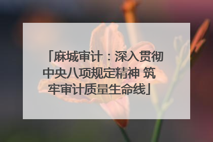 麻城审计：深入贯彻中央八项规定精神 筑牢审计质量生命线