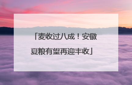 麦收过八成！安徽夏粮有望再迎丰收