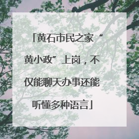 黄石市民之家“黄小政”上岗，不仅能聊天办事还能听懂多种语言