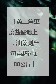 黄三角重度盐碱地上，油菜测产每亩超过180公斤