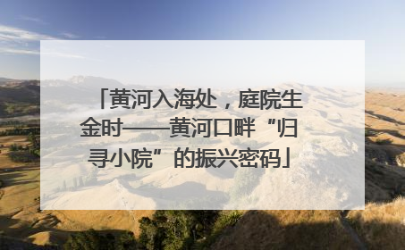 黄河入海处，庭院生金时——黄河口畔“归寻小院”的振兴密码