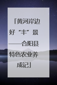 黄河岸边好“丰”景——合阳县特色农业养成记