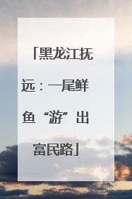 黑龙江抚远：一尾鲜鱼“游”出富民路