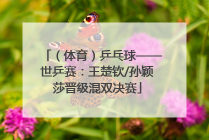 （体育）乒乓球——世乒赛：王楚钦/孙颖莎晋级混双决赛