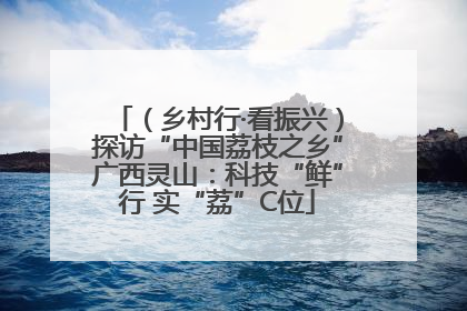 （乡村行·看振兴）探访“中国荔枝之乡”广西灵山：科技“鲜”行 实“荔”C位