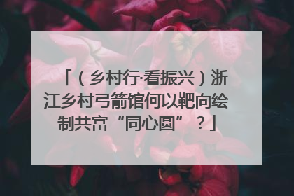（乡村行·看振兴）浙江乡村弓箭馆何以靶向绘制共富“同心圆”？