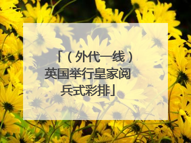 （外代一线）英国举行皇家阅兵式彩排