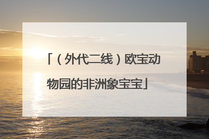 （外代二线）欧宝动物园的非洲象宝宝