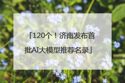 120个！济南发布首批AI大模型推荐名录