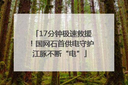 17分钟极速救援！国网石首供电守护江豚不断“电”