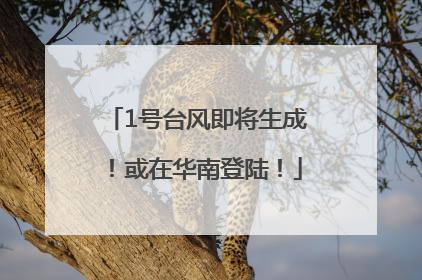 1号台风即将生成！或在华南登陆！