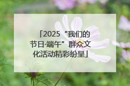 2025“我们的节日·端午”群众文化活动精彩纷呈