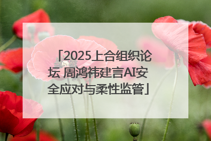 2025上合组织论坛 周鸿祎建言AI安全应对与柔性监管