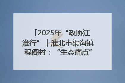2025年“政协江淮行”｜淮北市渠沟镇程阁村：“生态痛点”变“生态景观”