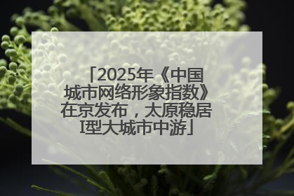 2025年《中国城市网络形象指数》在京发布，太原稳居I型大城市中游