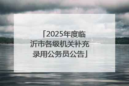 2025年度临沂市各级机关补充录用公务员公告
