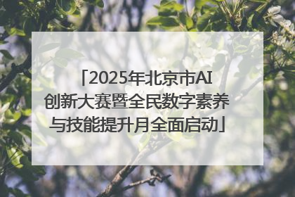 2025年北京市AI创新大赛暨全民数字素养与技能提升月全面启动