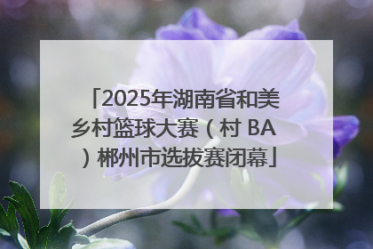 2025年湖南省和美乡村篮球大赛（村 BA）郴州市选拔赛闭幕