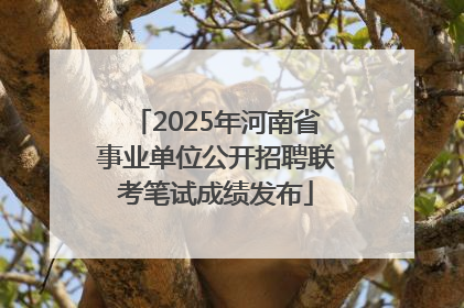 2025年河南省事业单位公开招聘联考笔试成绩发布