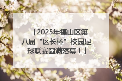 2025年福山区第八届“区长杯”校园足球联赛圆满落幕！