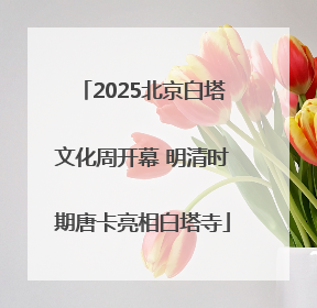 2025北京白塔文化周开幕 明清时期唐卡亮相白塔寺
