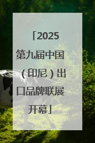 2025第九届中国（印尼）出口品牌联展开幕