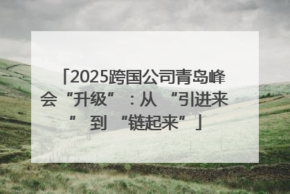 2025跨国公司青岛峰会“升级”：从 “引进来” 到 “链起来”